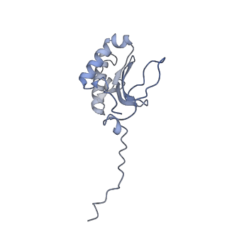 12927_7oie_P_v1-0
Cryo-EM structure of late human 39S mitoribosome assembly intermediates, state 5B
