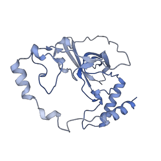 12927_7oie_Q_v1-0
Cryo-EM structure of late human 39S mitoribosome assembly intermediates, state 5B