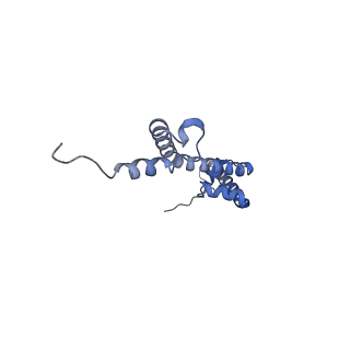 12927_7oie_R_v1-0
Cryo-EM structure of late human 39S mitoribosome assembly intermediates, state 5B