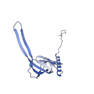 12927_7oie_S_v1-0
Cryo-EM structure of late human 39S mitoribosome assembly intermediates, state 5B