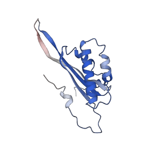 12927_7oie_T_v1-0
Cryo-EM structure of late human 39S mitoribosome assembly intermediates, state 5B