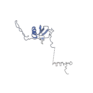 12927_7oie_U_v1-0
Cryo-EM structure of late human 39S mitoribosome assembly intermediates, state 5B