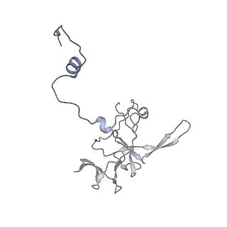 12927_7oie_V_v1-0
Cryo-EM structure of late human 39S mitoribosome assembly intermediates, state 5B