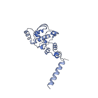 12927_7oie_X_v1-0
Cryo-EM structure of late human 39S mitoribosome assembly intermediates, state 5B