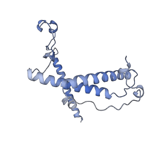 12927_7oie_Y_v1-0
Cryo-EM structure of late human 39S mitoribosome assembly intermediates, state 5B