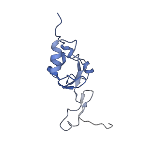 12927_7oie_Z_v1-0
Cryo-EM structure of late human 39S mitoribosome assembly intermediates, state 5B