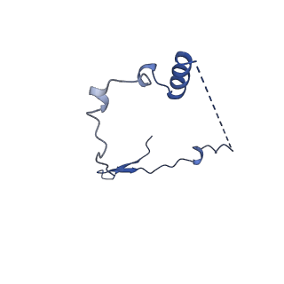 12927_7oie_a_v1-0
Cryo-EM structure of late human 39S mitoribosome assembly intermediates, state 5B