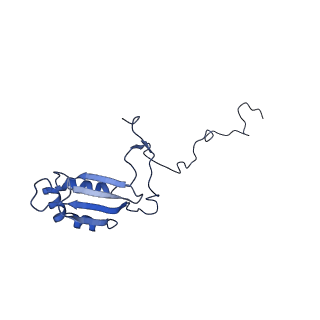 12927_7oie_b_v1-0
Cryo-EM structure of late human 39S mitoribosome assembly intermediates, state 5B