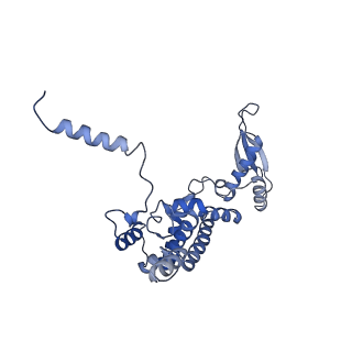 12927_7oie_c_v1-0
Cryo-EM structure of late human 39S mitoribosome assembly intermediates, state 5B