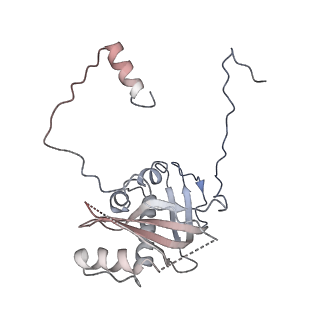 12927_7oie_d_v1-0
Cryo-EM structure of late human 39S mitoribosome assembly intermediates, state 5B