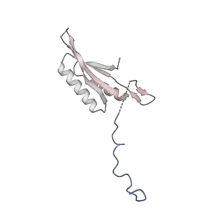 12927_7oie_f_v1-0
Cryo-EM structure of late human 39S mitoribosome assembly intermediates, state 5B