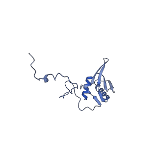 12927_7oie_g_v1-0
Cryo-EM structure of late human 39S mitoribosome assembly intermediates, state 5B