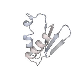 12927_7oie_k_v1-0
Cryo-EM structure of late human 39S mitoribosome assembly intermediates, state 5B