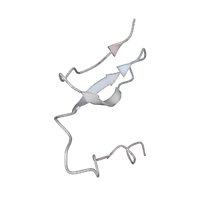 12927_7oie_m_v1-0
Cryo-EM structure of late human 39S mitoribosome assembly intermediates, state 5B