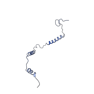 12927_7oie_o_v1-0
Cryo-EM structure of late human 39S mitoribosome assembly intermediates, state 5B