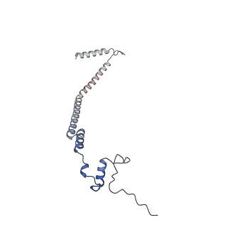 12927_7oie_q_v1-0
Cryo-EM structure of late human 39S mitoribosome assembly intermediates, state 5B