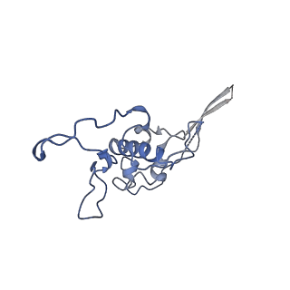 12927_7oie_r_v1-0
Cryo-EM structure of late human 39S mitoribosome assembly intermediates, state 5B