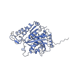 12927_7oie_s_v1-0
Cryo-EM structure of late human 39S mitoribosome assembly intermediates, state 5B