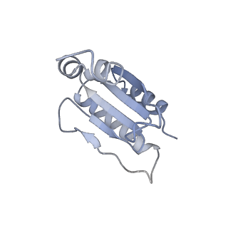 12927_7oie_u_v1-0
Cryo-EM structure of late human 39S mitoribosome assembly intermediates, state 5B
