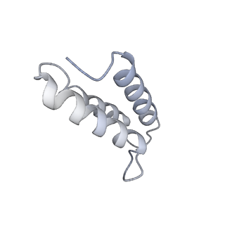 12927_7oie_v_v1-0
Cryo-EM structure of late human 39S mitoribosome assembly intermediates, state 5B