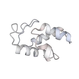 12927_7oie_w_v1-0
Cryo-EM structure of late human 39S mitoribosome assembly intermediates, state 5B
