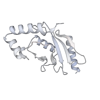 12931_7oik_B_v1-0
Mouse RNF213:UBE2L3 transthiolation intermediate, chemically stabilized