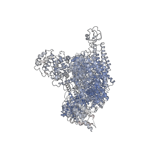 12932_7oim_A_v1-0
Mouse RNF213, with mixed nucleotides bound