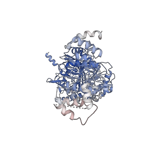 12933_7oiu_A_v1-2
Inner Membrane Complex (IMC) protomer structure (TrwM/VirB3, TrwK/VirB4, TrwG/VirB8tails) from the fully-assembled R388 type IV secretion system determined by cryo-EM.