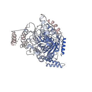 12933_7oiu_B_v1-2
Inner Membrane Complex (IMC) protomer structure (TrwM/VirB3, TrwK/VirB4, TrwG/VirB8tails) from the fully-assembled R388 type IV secretion system determined by cryo-EM.