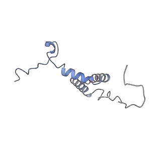 12933_7oiu_C_v1-2
Inner Membrane Complex (IMC) protomer structure (TrwM/VirB3, TrwK/VirB4, TrwG/VirB8tails) from the fully-assembled R388 type IV secretion system determined by cryo-EM.
