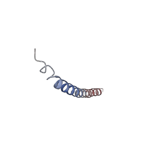 12933_7oiu_E_v1-2
Inner Membrane Complex (IMC) protomer structure (TrwM/VirB3, TrwK/VirB4, TrwG/VirB8tails) from the fully-assembled R388 type IV secretion system determined by cryo-EM.