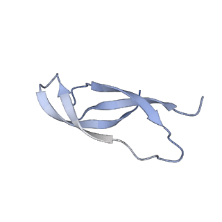 12936_7oiz_0_v1-1
Cryo-EM structure of 70S ribosome stalled with TnaC peptide
