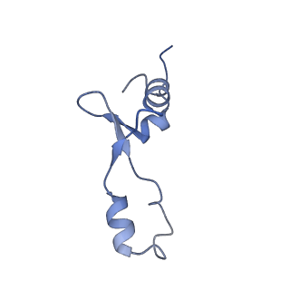 12936_7oiz_2_v1-1
Cryo-EM structure of 70S ribosome stalled with TnaC peptide