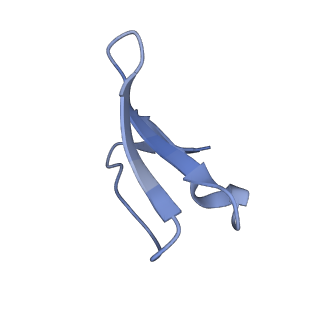 12936_7oiz_3_v1-1
Cryo-EM structure of 70S ribosome stalled with TnaC peptide