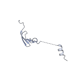 12936_7oiz_4_v1-1
Cryo-EM structure of 70S ribosome stalled with TnaC peptide