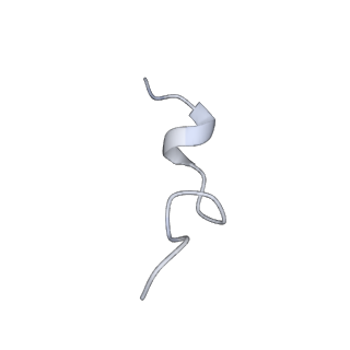 12936_7oiz_7_v1-1
Cryo-EM structure of 70S ribosome stalled with TnaC peptide