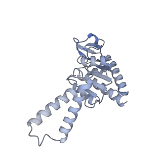 12936_7oiz_B_v1-1
Cryo-EM structure of 70S ribosome stalled with TnaC peptide