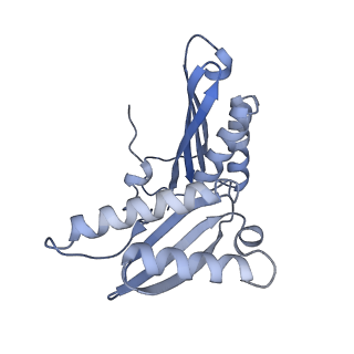 12936_7oiz_C_v1-1
Cryo-EM structure of 70S ribosome stalled with TnaC peptide