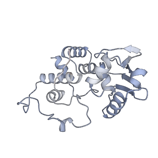 12936_7oiz_D_v1-1
Cryo-EM structure of 70S ribosome stalled with TnaC peptide