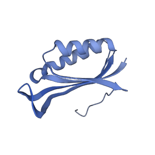 12936_7oiz_F_v1-1
Cryo-EM structure of 70S ribosome stalled with TnaC peptide