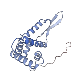 12936_7oiz_G_v1-1
Cryo-EM structure of 70S ribosome stalled with TnaC peptide