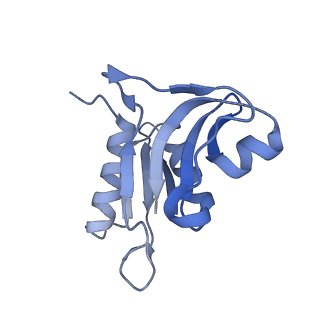 12936_7oiz_H_v1-1
Cryo-EM structure of 70S ribosome stalled with TnaC peptide