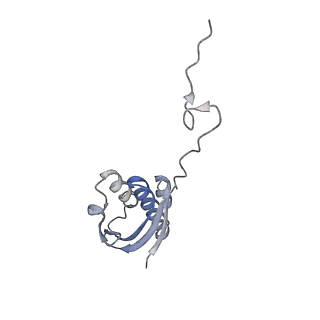12936_7oiz_I_v1-1
Cryo-EM structure of 70S ribosome stalled with TnaC peptide