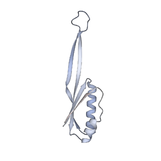 12936_7oiz_J_v1-1
Cryo-EM structure of 70S ribosome stalled with TnaC peptide