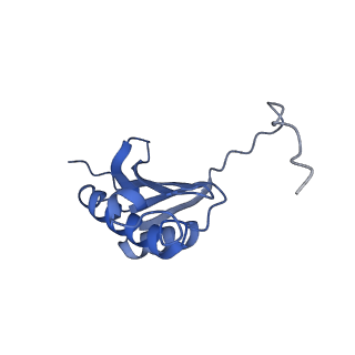 12936_7oiz_K_v1-1
Cryo-EM structure of 70S ribosome stalled with TnaC peptide