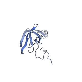 12936_7oiz_L_v1-1
Cryo-EM structure of 70S ribosome stalled with TnaC peptide