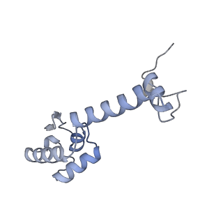 12936_7oiz_M_v1-1
Cryo-EM structure of 70S ribosome stalled with TnaC peptide