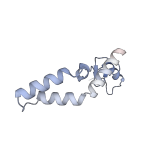 12936_7oiz_N_v1-1
Cryo-EM structure of 70S ribosome stalled with TnaC peptide
