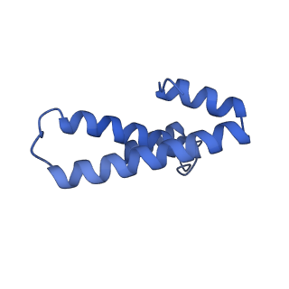 12936_7oiz_O_v1-1
Cryo-EM structure of 70S ribosome stalled with TnaC peptide