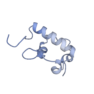 12936_7oiz_R_v1-1
Cryo-EM structure of 70S ribosome stalled with TnaC peptide
